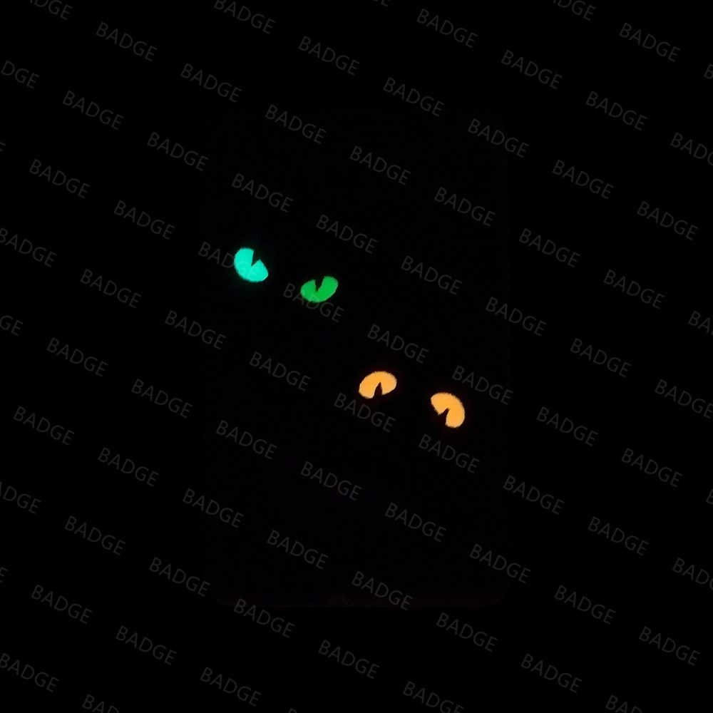 Glow in The Dark Patches Cat D - Hook Eye Fastener recension och pris